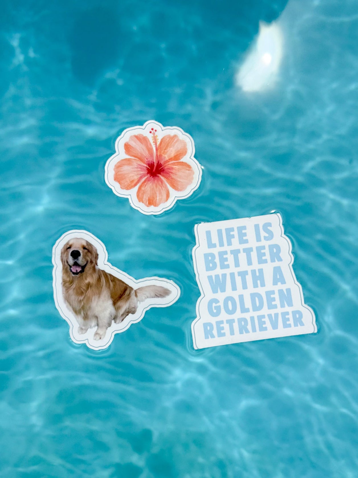 tropical reef sticker pack