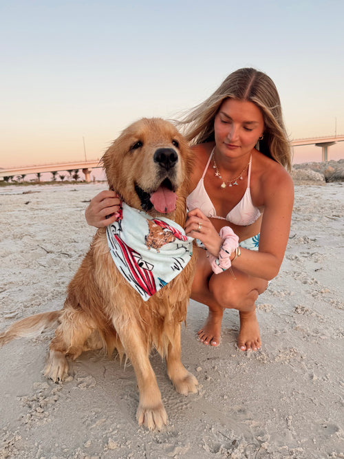 Cabana Towel Dog Bandana