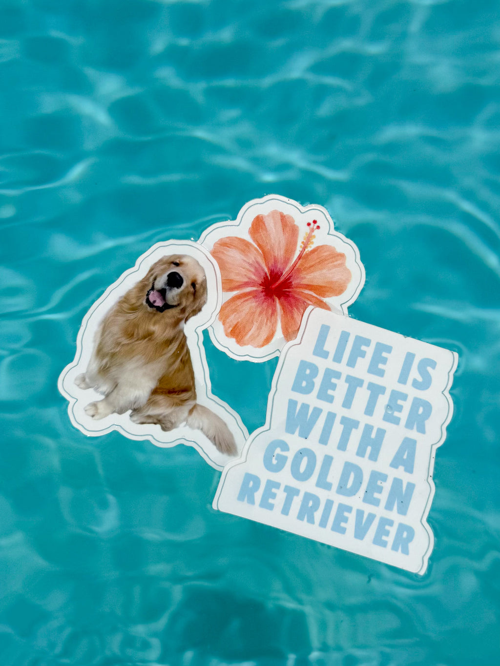 tropical reef sticker pack