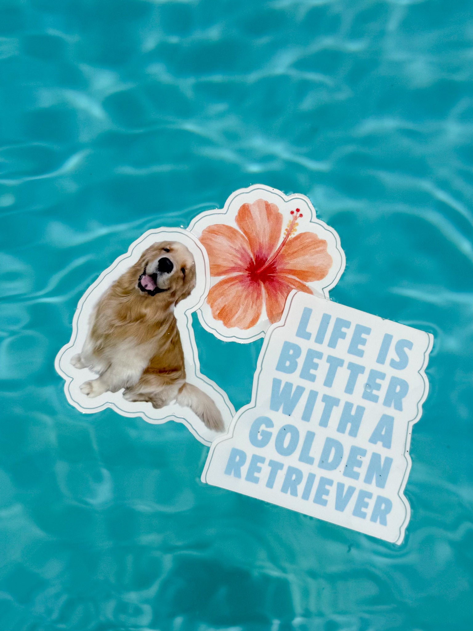 tropical reef sticker pack