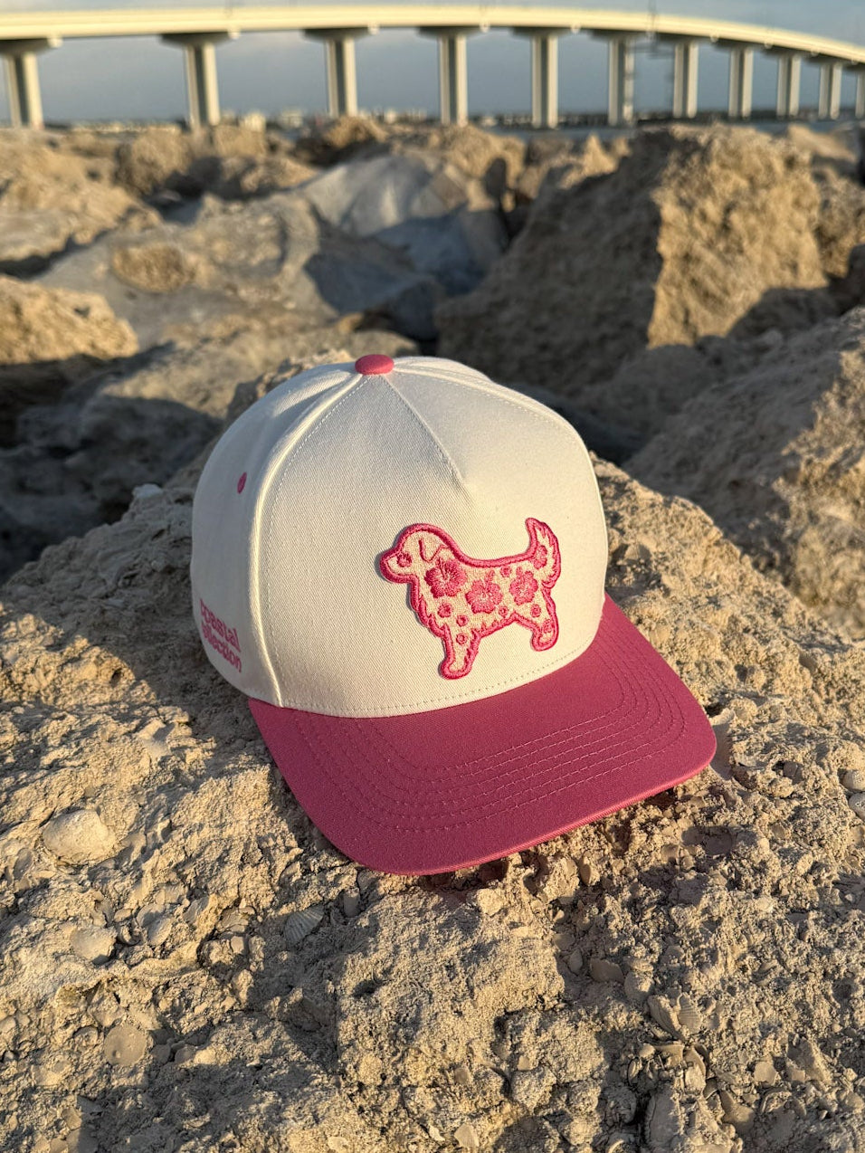 hibiscus golden hat