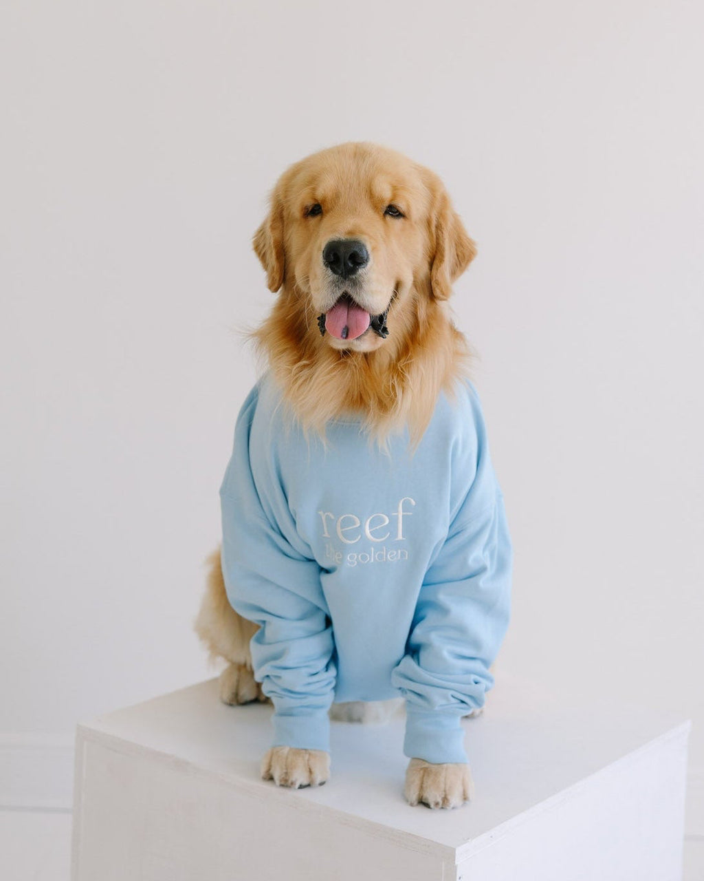 reef the golden mockneck