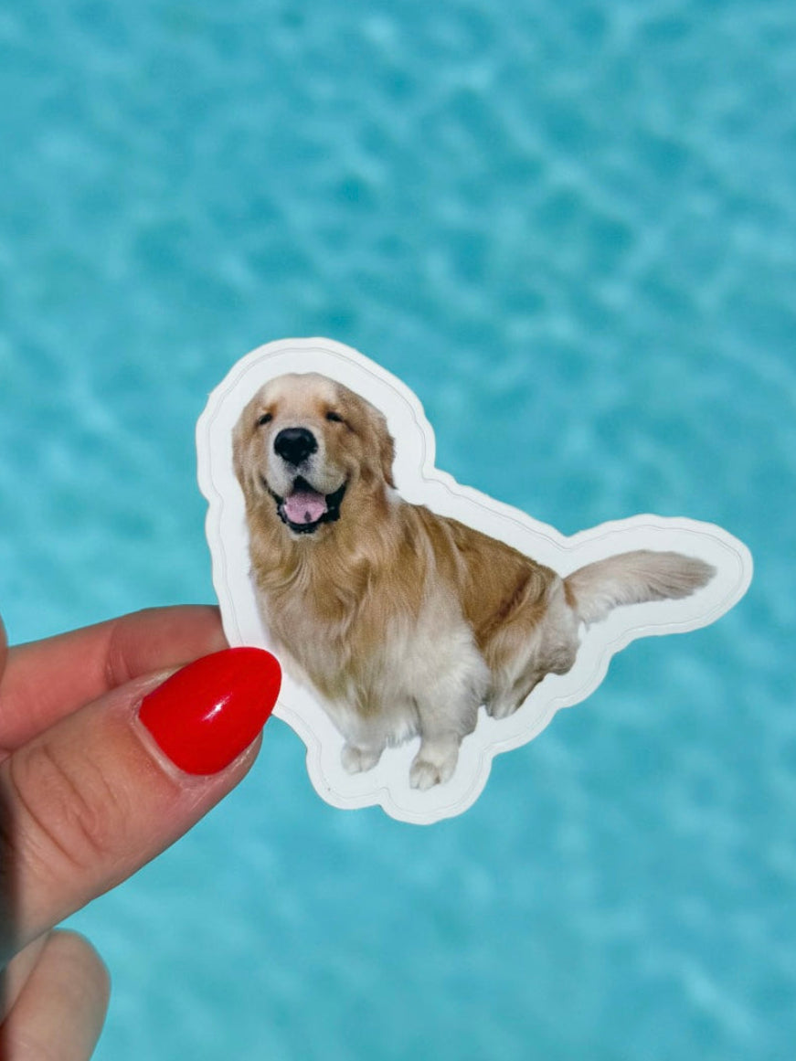 tropical reef sticker pack